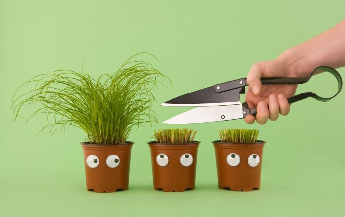 gestionar la incertidumbre